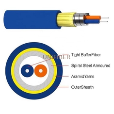 1 Core 2 Core Indoor Armored Fiber Optic Cable Anti Rodent Single Tube