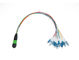 High Density Architectures MPO MTP Patch Cord , 12 Fibers Multimode Fiber Patch Cord