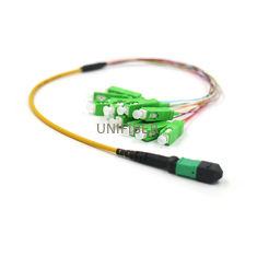 Elite MTP/MPO To SC/Apc OM5 LSZH Single Mode Patch Cord