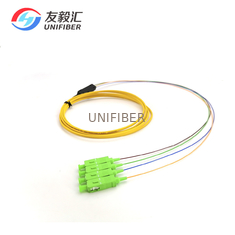 SC APC 4C Ribbon Fiber Optic Pigtail Single Mode G657A2 2 Meters