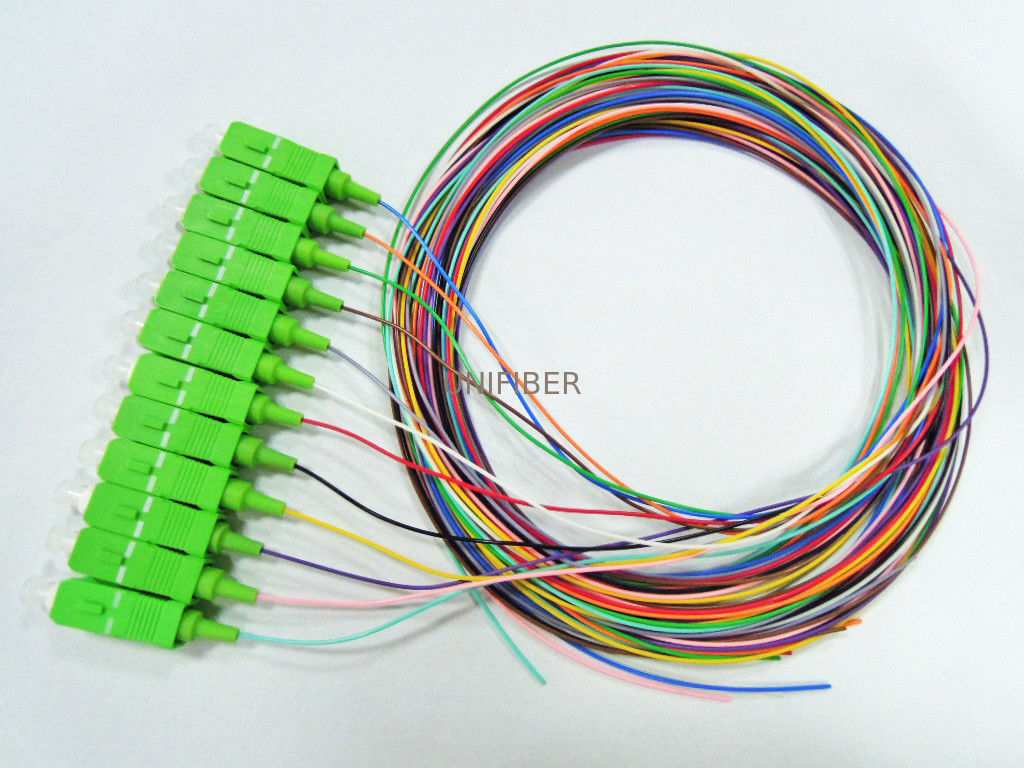 12 Strand SC APC Optical Fiber Pigtail 900 Micron Tight Buffer For ...