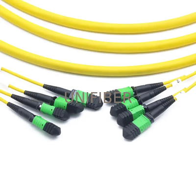 Data Center MPO/MTP Trunk Cable Patch Cord 48 core Single Mode Polarity B