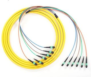 PVC LSZH Jacket MPO MTP Patch Cord High Density 40G/100G Cabling Solutions