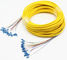 Tight Buffered Distribution Pre Terminated Multi Fiber Cables 12/24 Core OS2 Single Mode