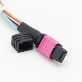 Data Center MPO MTP Patch Cord OM4 24 Core 0.9mm Breakout 0.5M High Density Cabling Solutions